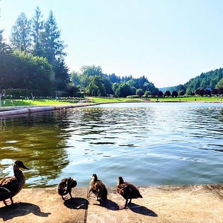 Domek Caloroczny Nad Zalewem U Podnoza Gor Stolowych Radkow Dış mekan fotoğraf